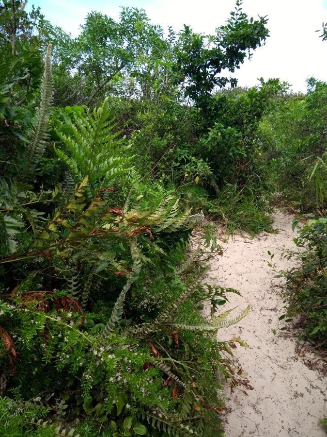 فيلا Casa Da Marilu Prime Florianópolis المظهر الخارجي الصورة